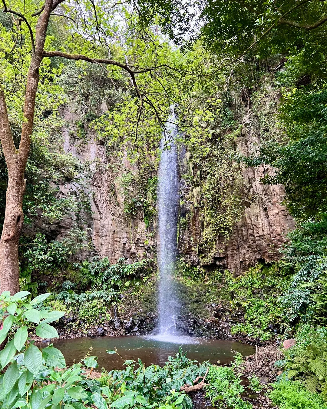 Aguage Waterfall