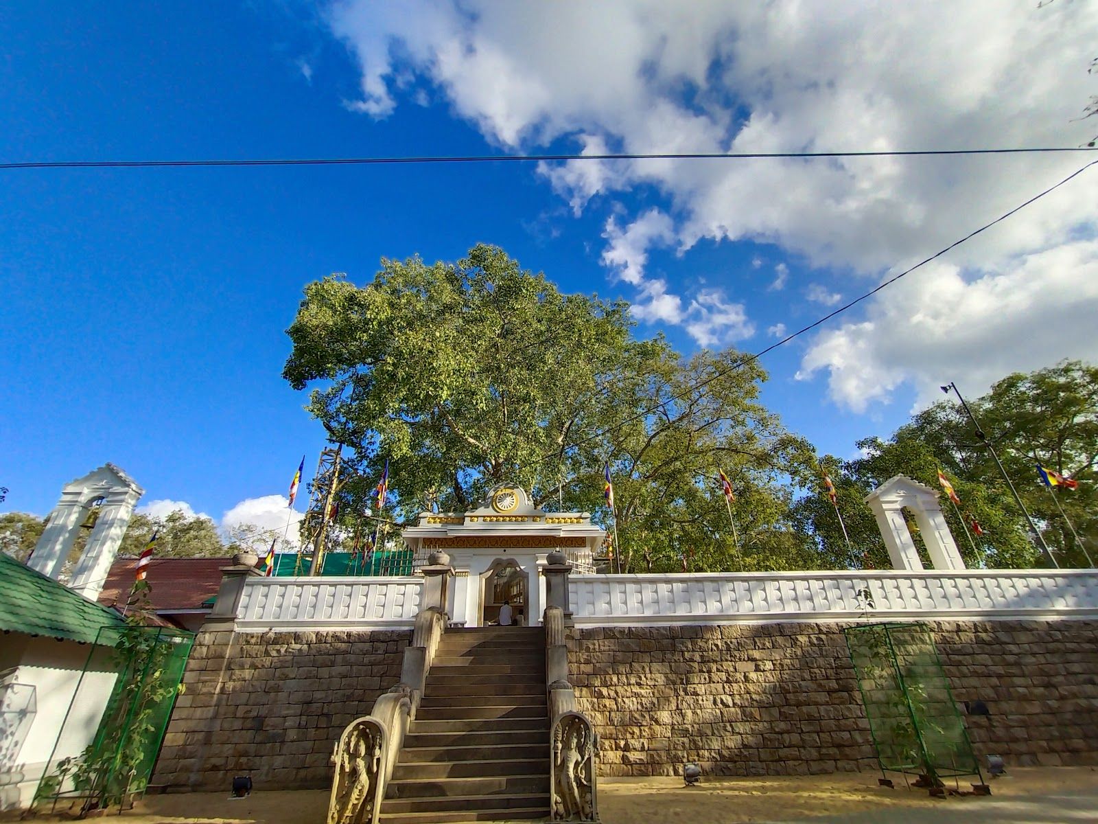 Jaya Sri Maha Bodhi