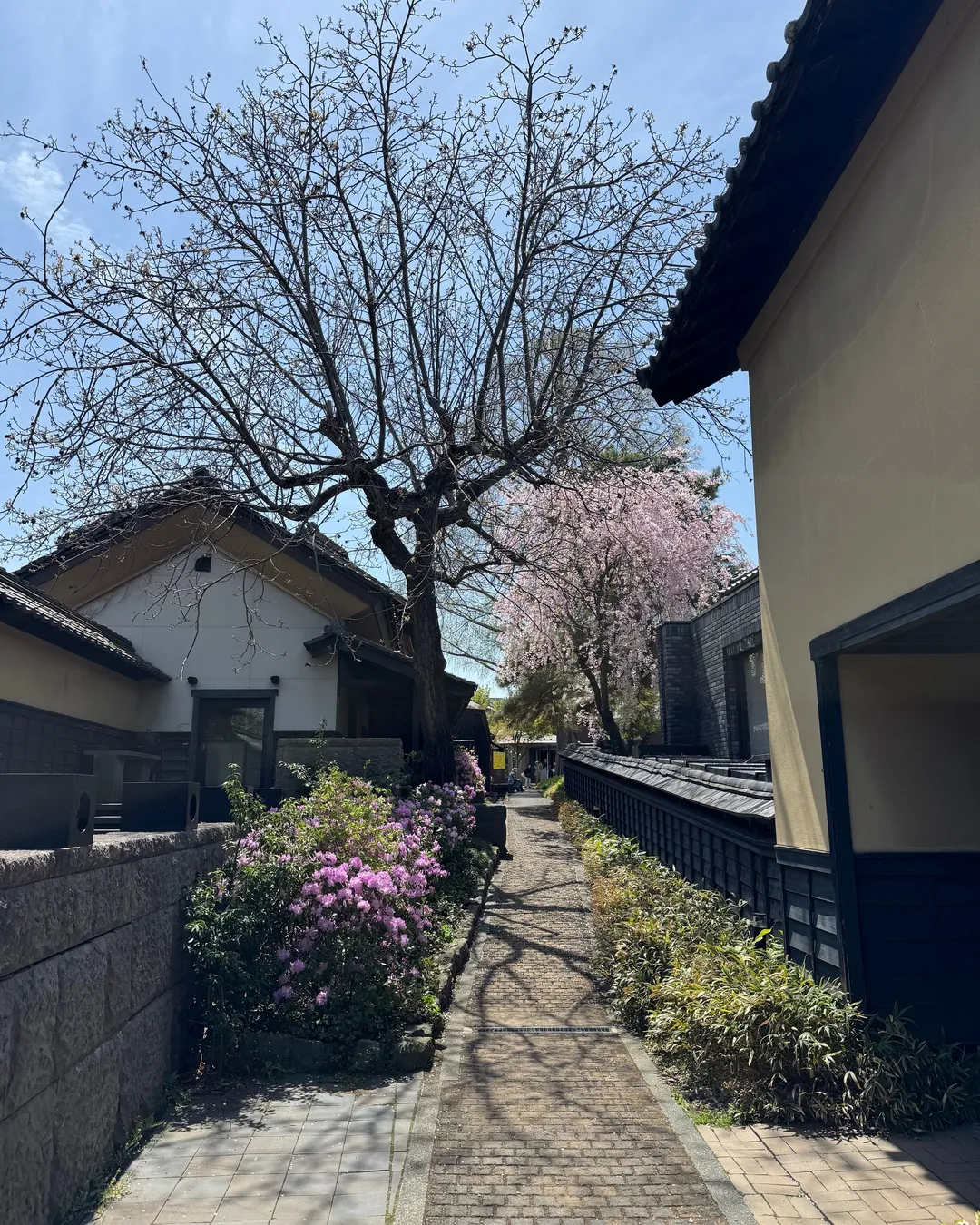 Chestnut Alley