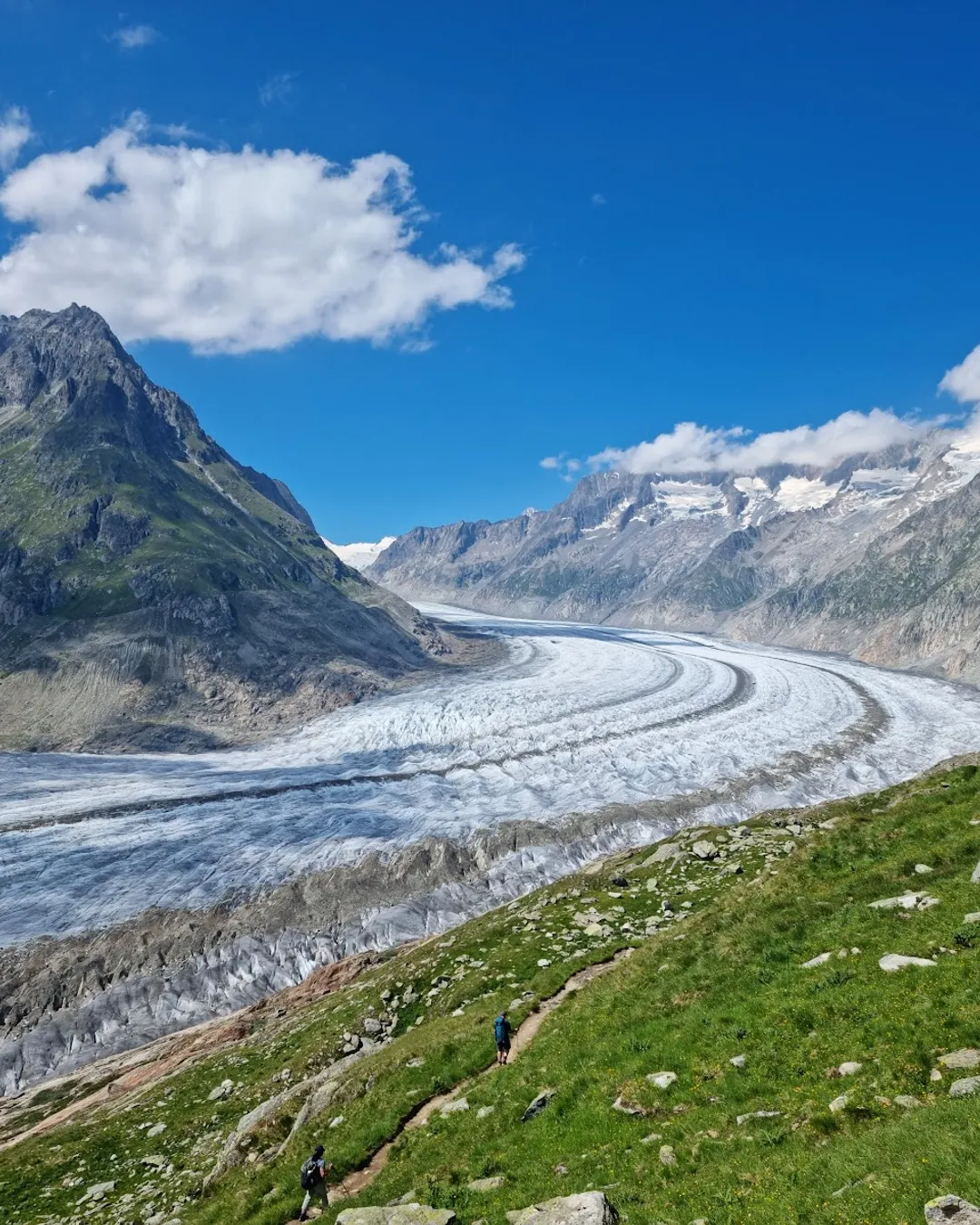 Aletsch Glacier