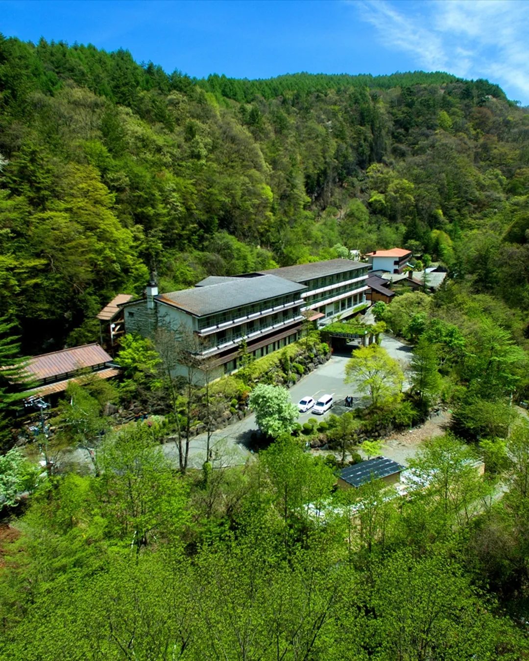 Yokoyaonsen Ryokan