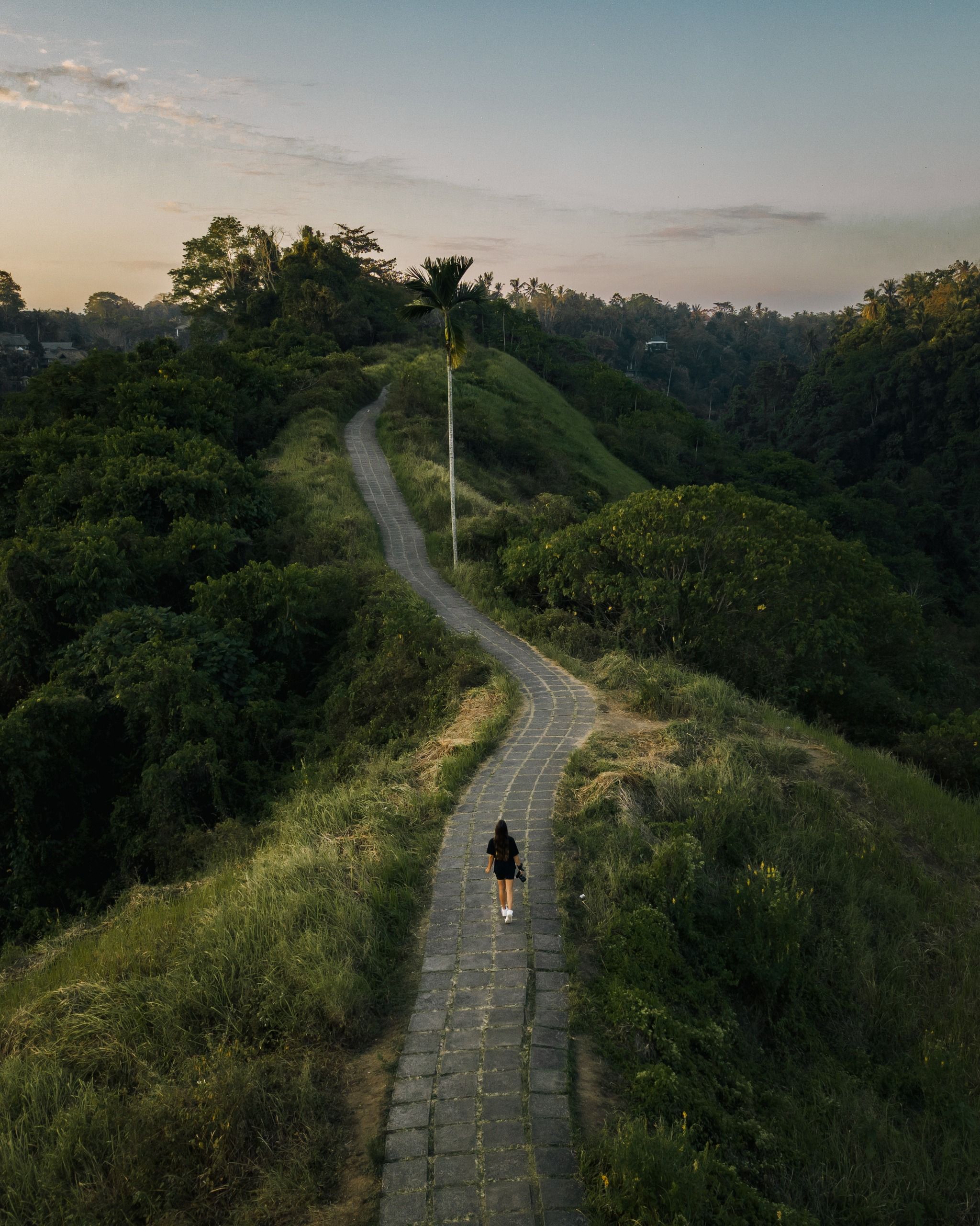 Campuhan Ridge Wandergebiet