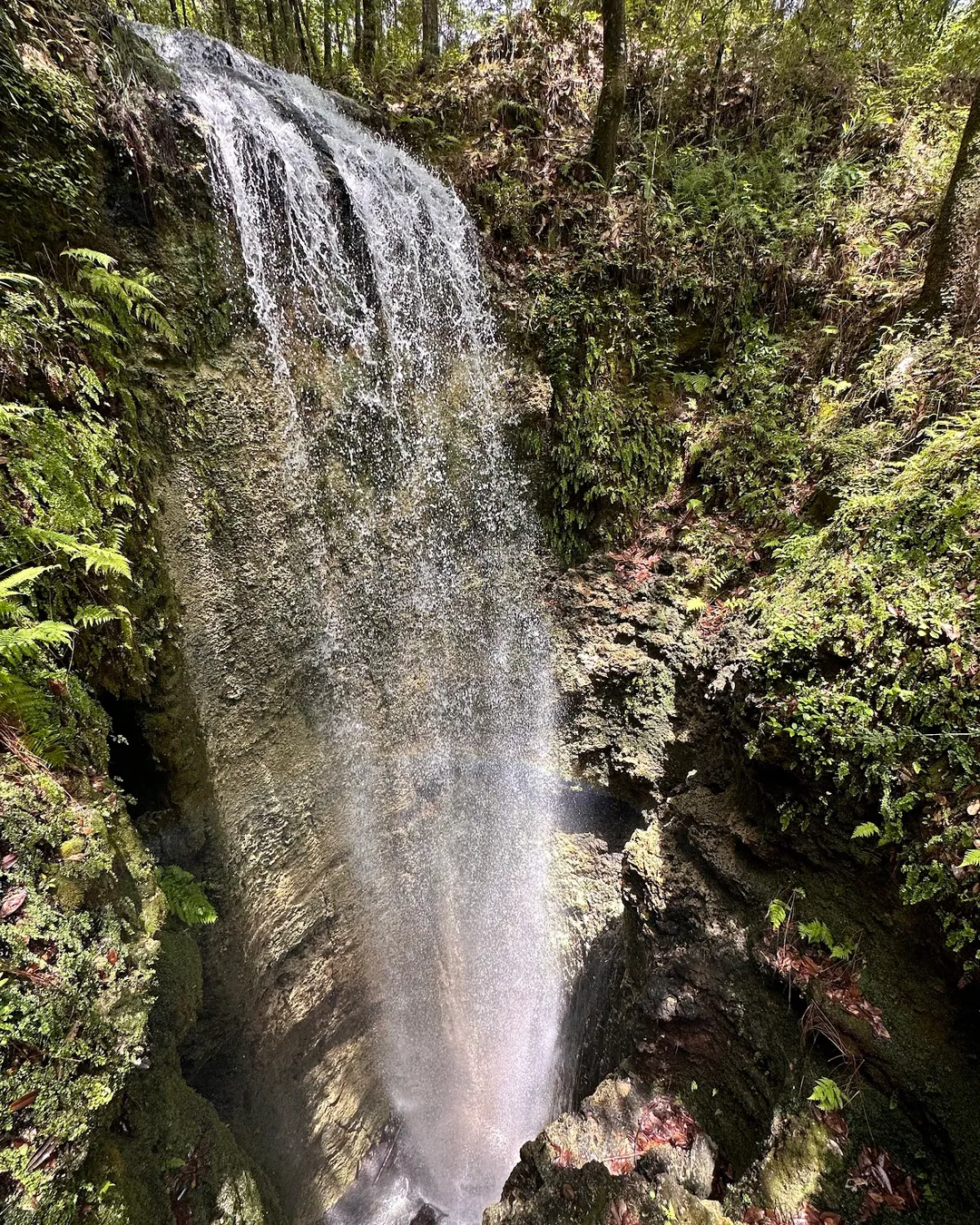 Falling Waters State Park