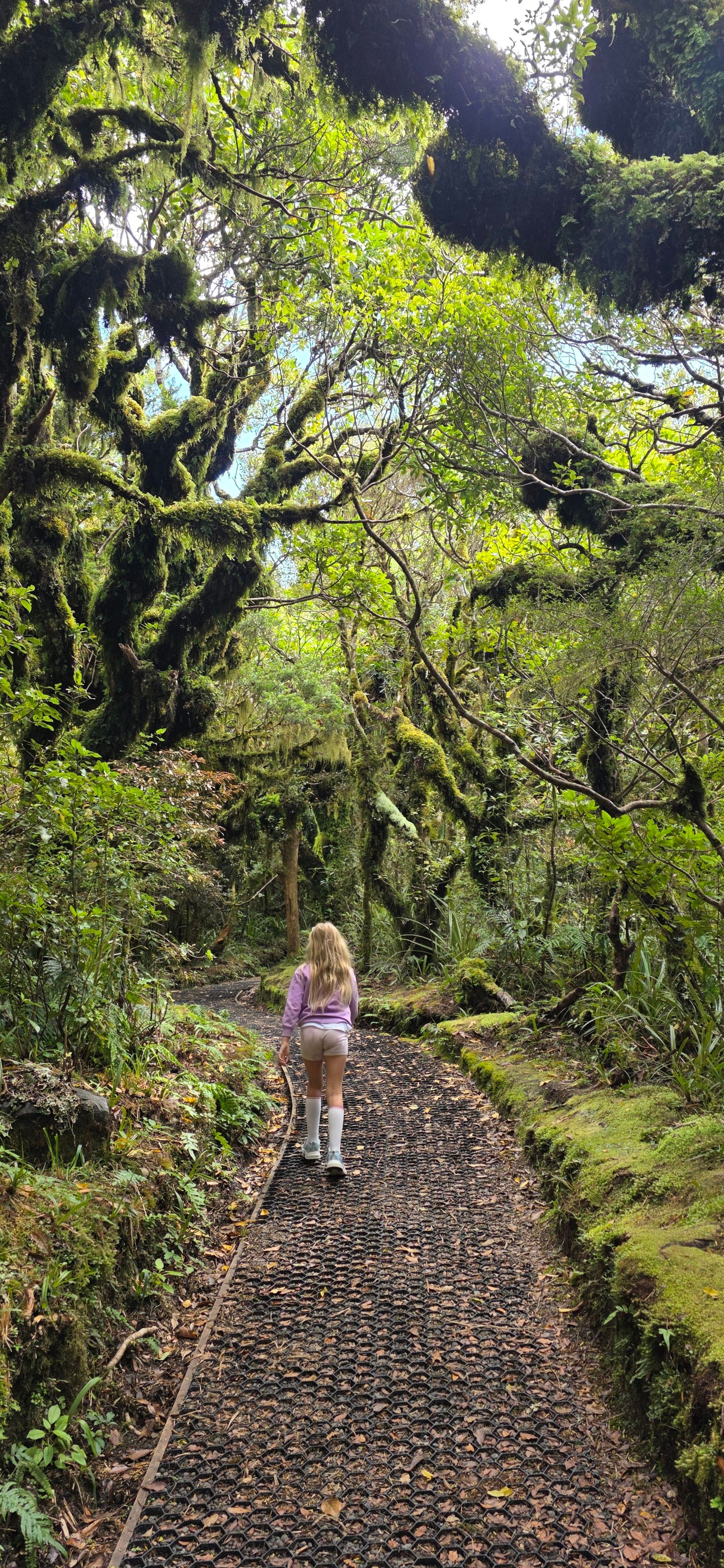 Wilkies Pools Loop Track