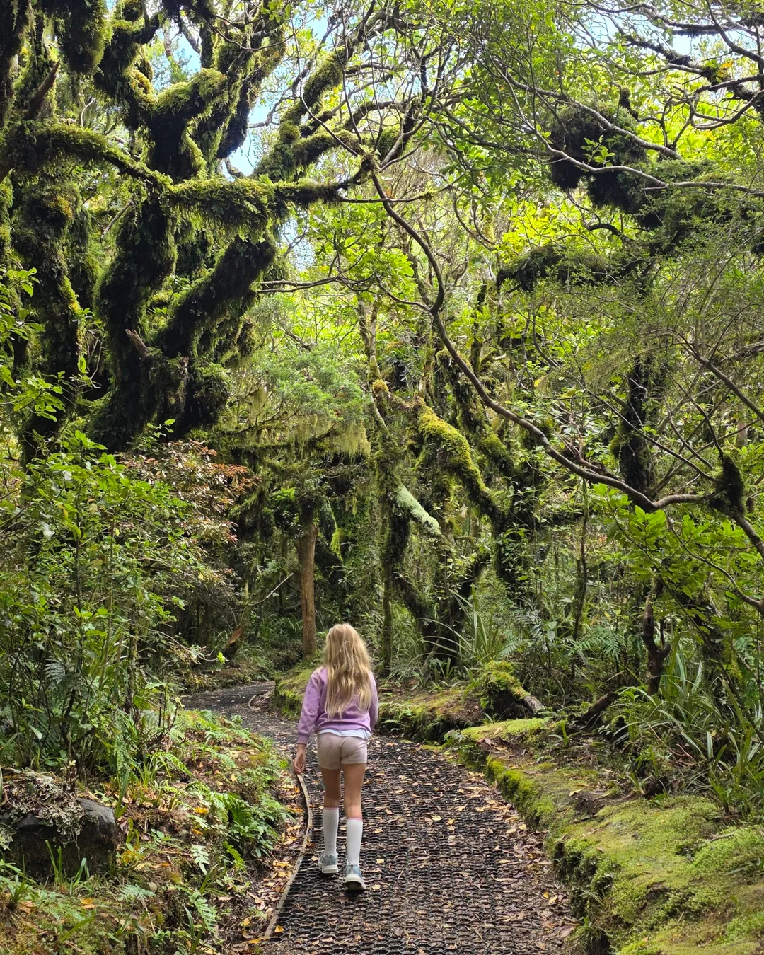 Wilkies Pools Loop Track