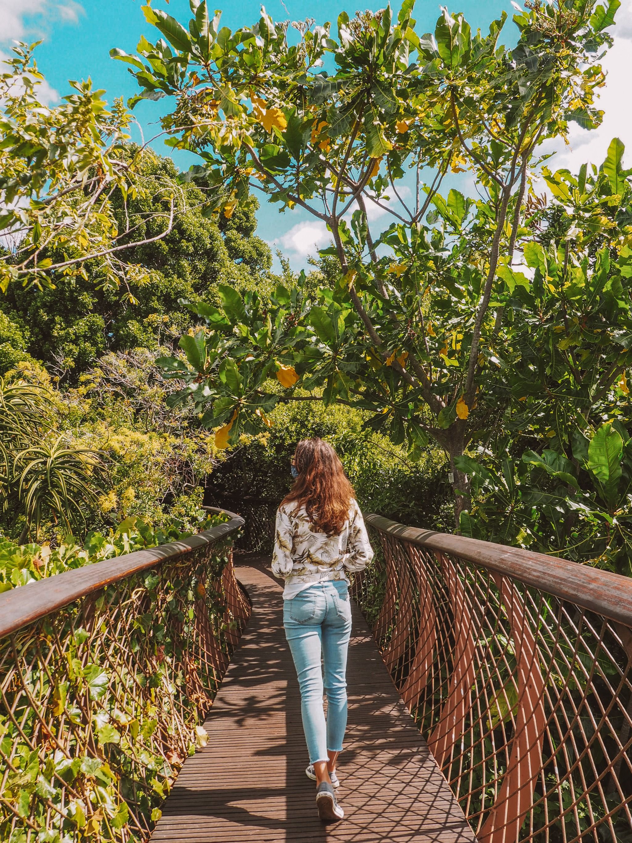 Kirstenbosch National Botanical Garden