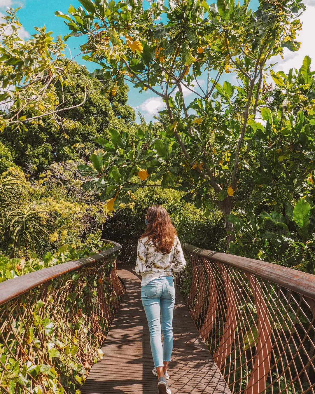 Kirstenbosch National Botanical Garden